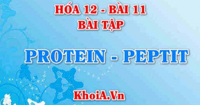 Bài tập về Peptit và Protein: Giải bài tập 1, 2, 3, 4. 5, 6 trang 55 SGK Hóa học 12 bài 11